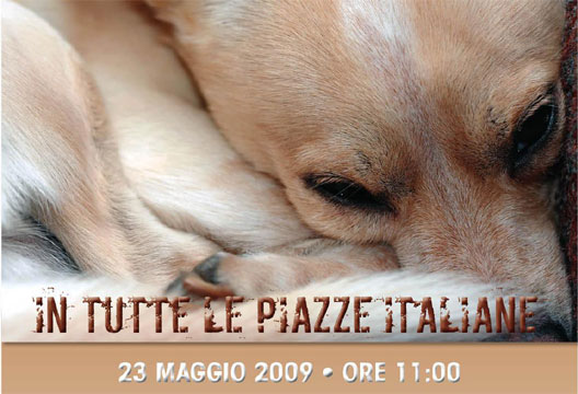 I love� i quattro zampe